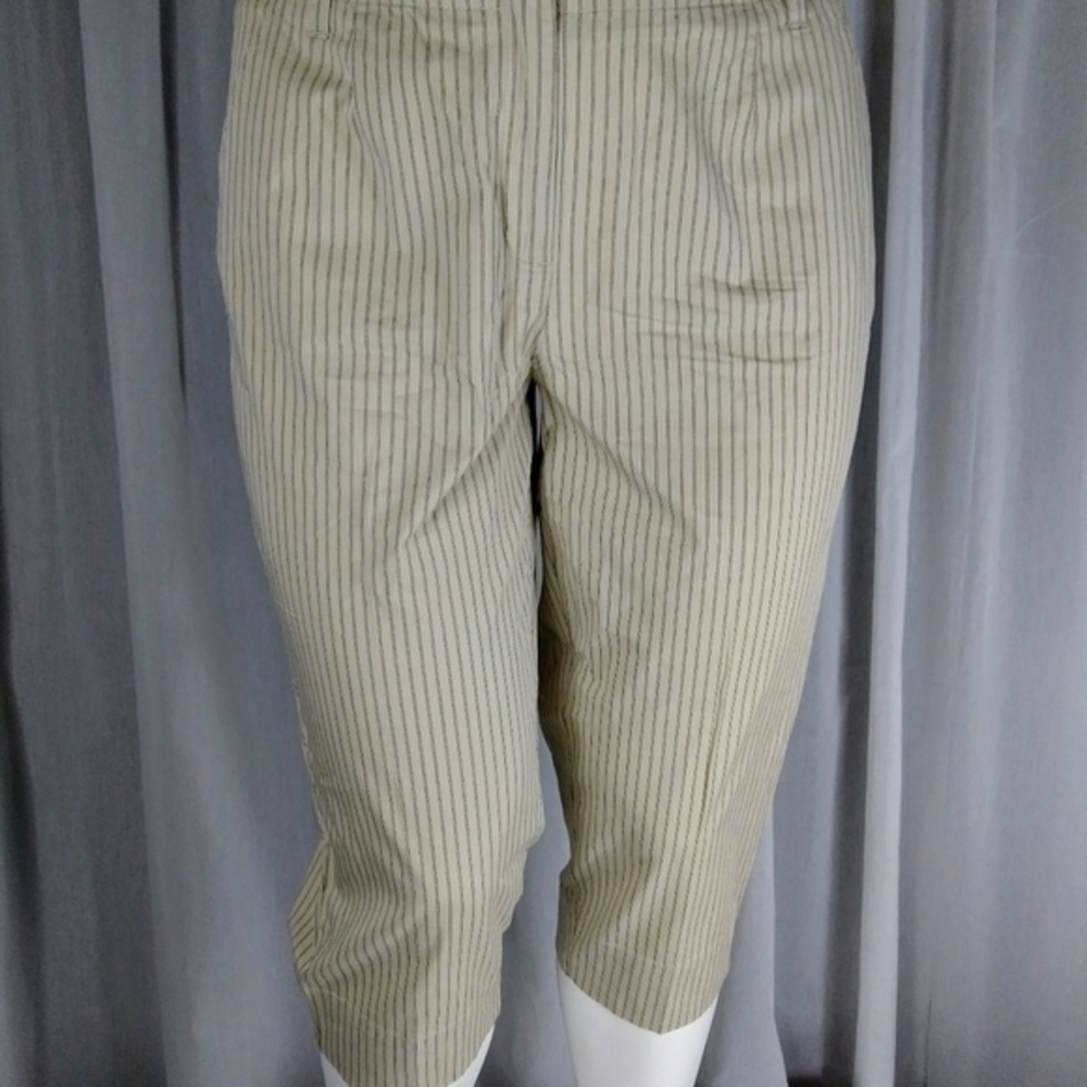 Talbot's Crop pant - Women's Petite
